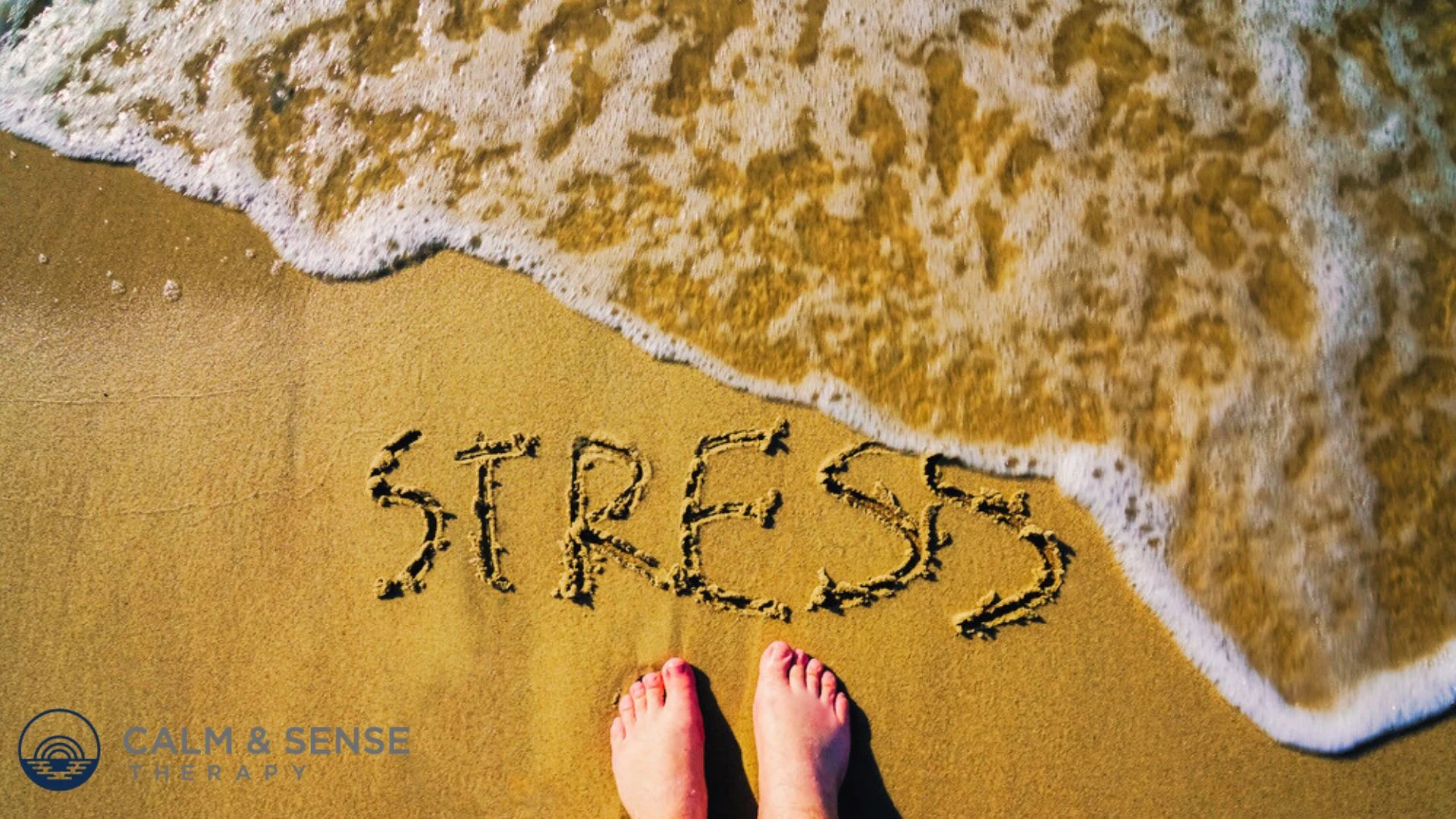 How to Reduce Stress: Calm & Sense’s Top Therapies